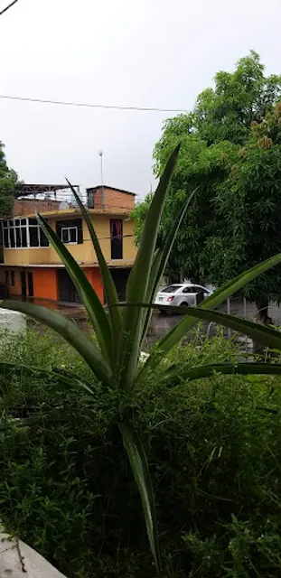 MARISCOS EL MANGUITO