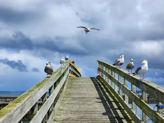 Westport RV Park & Motel