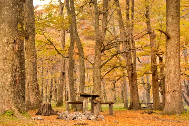 Camping Lago del Desierto