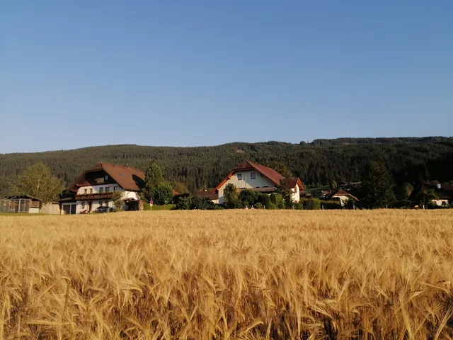 Appartement Edelweiß