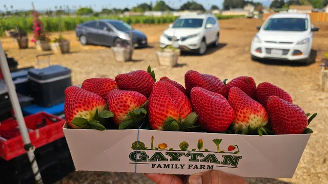 Gaytan Family Farm Stand