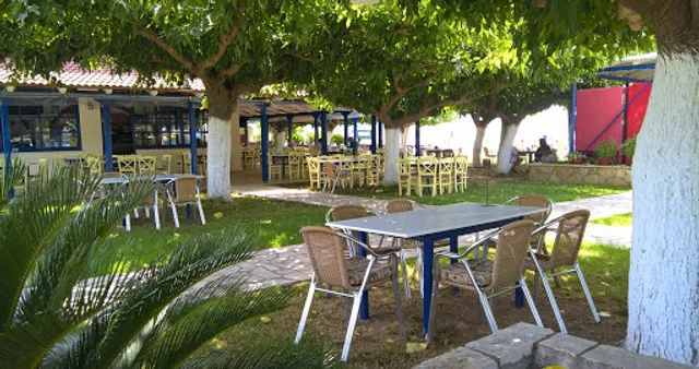 Tavern Beach Bar Delfinia