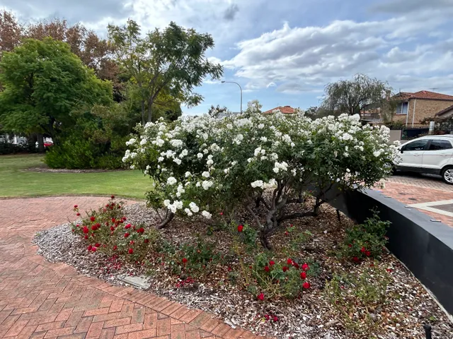 South Perth War Memorial