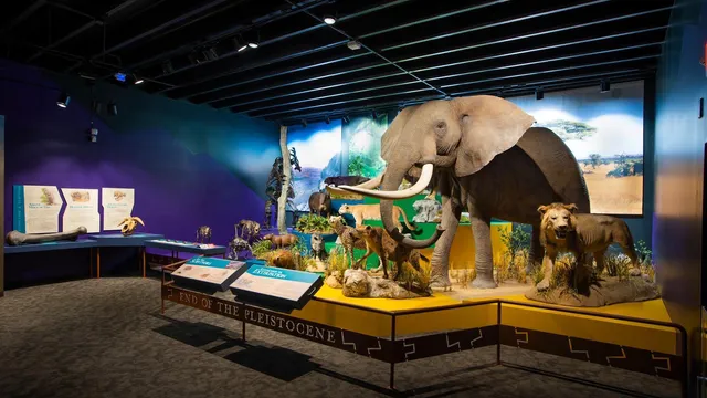 Museum of York County