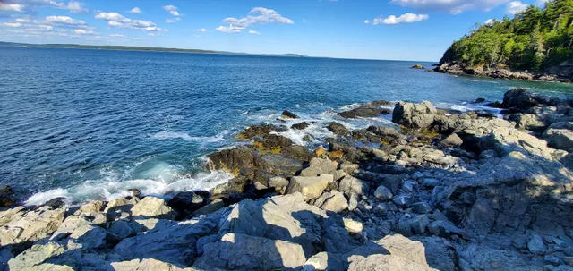 Compass Harbor Trailhead
