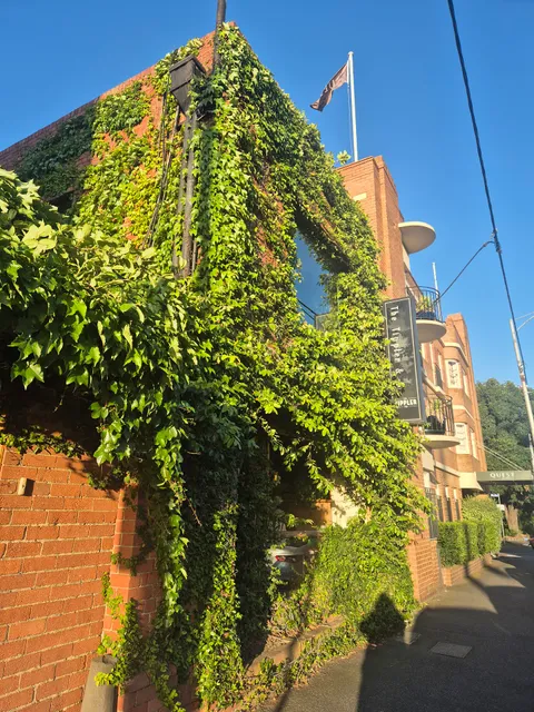 photo-1