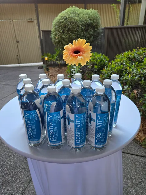 Positivity Alkaline Water