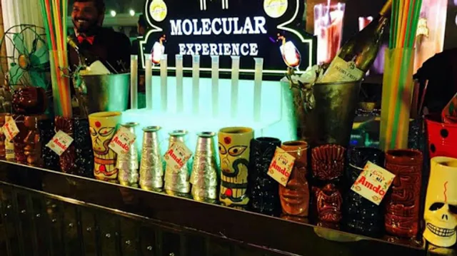 Sharma mocktail and cocktial