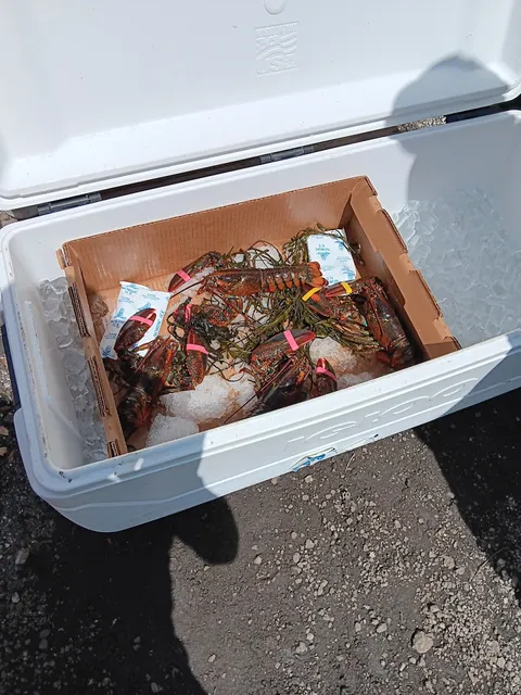 Rods Seafood Flagler