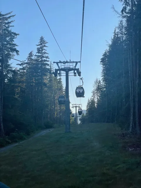 Green Transporter Gondola