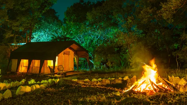 H2H Bir | Nature Camps