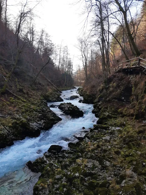 Free Shuttle Terminal