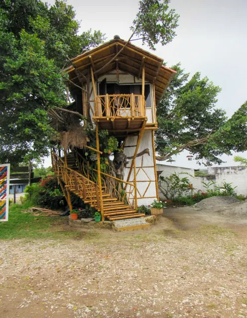 Hamaloa en mundo loco