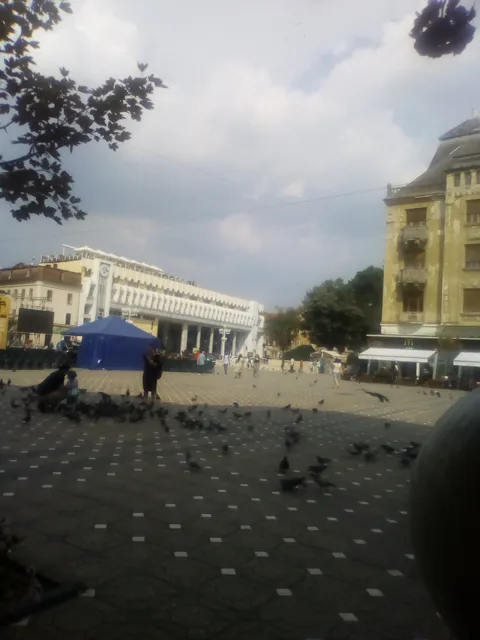 photo-2