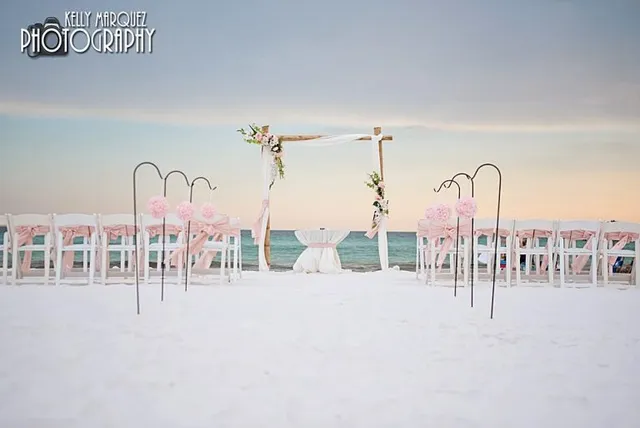 Seashell Wedding Company