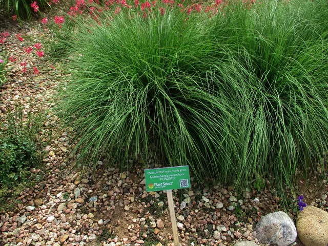 The Gardens on Spring Creek