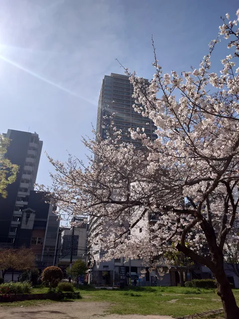Toyosaki Higashi Park