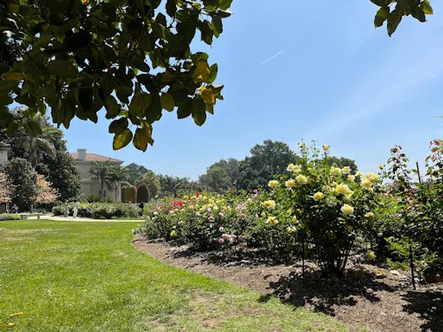 Rose Garden