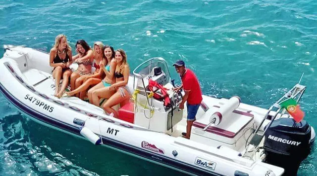 Arctic Seagull - Benagil Trips