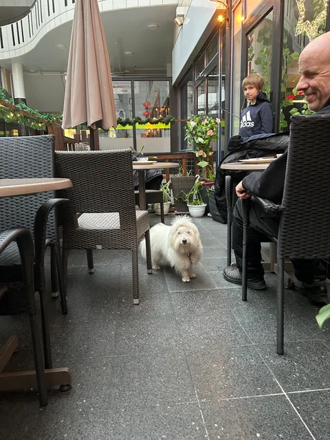 Ravintola Sakuragawa