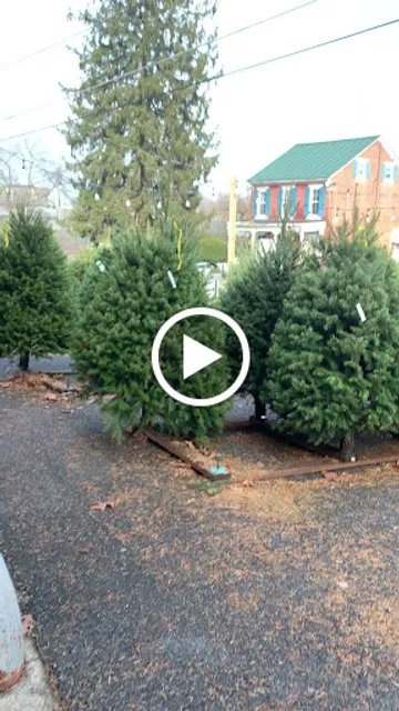 Grill Fire Co Social Quarters