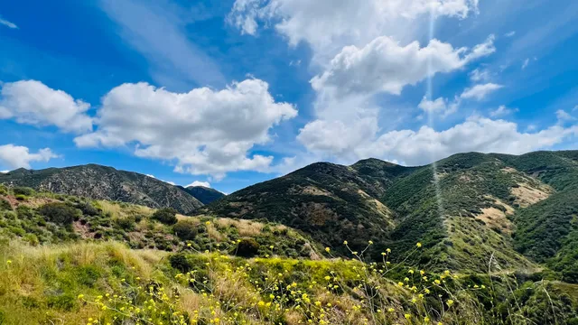 Harding Truck Trailhead