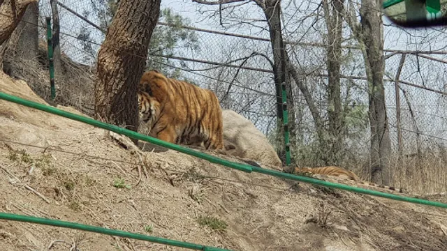 Badaling Wildlife World （Northwest Gate 1）