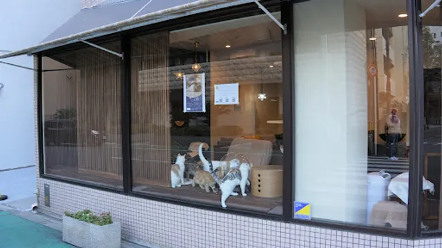Cat Cafe Mikazuki