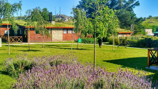 Cabañas El Montenegrino