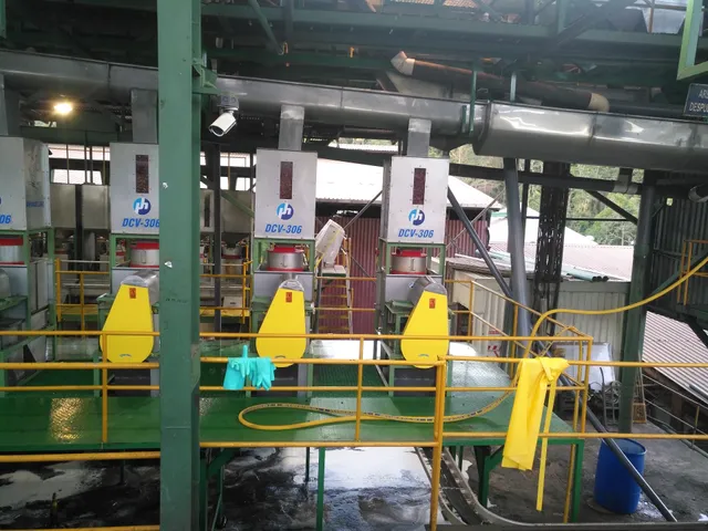 Beneficio de Café de Coopronaranjo R. L.