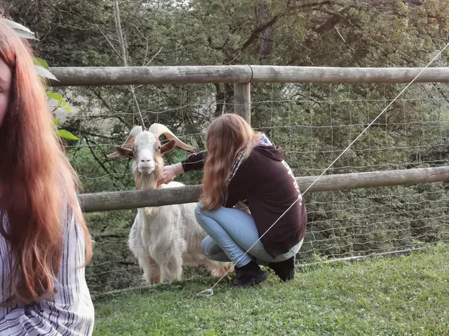 Ferienwohnungen PANO