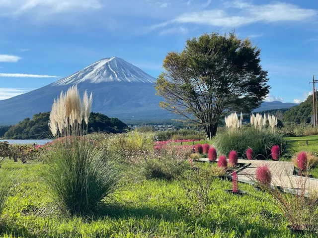 Small Mount Fuji made of flowers