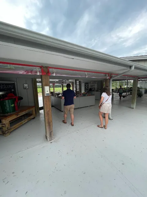 Lewis Strawberry Nursery & Farm