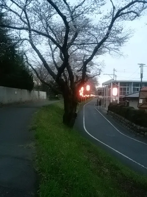 photo-2
