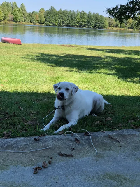 Middletown Animal Clinic
