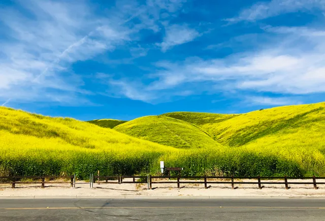 Hillcrest Open Space Preserve