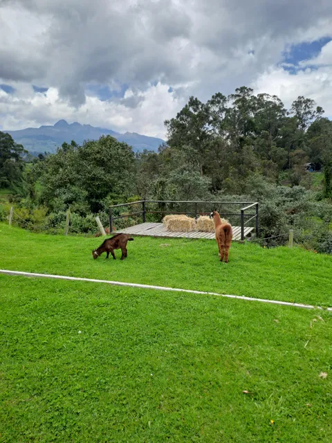 Quinta El Reencuentro
