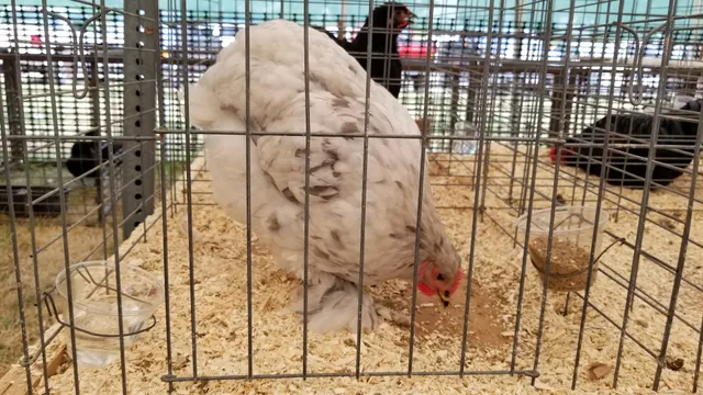 Riley County Fairgrounds