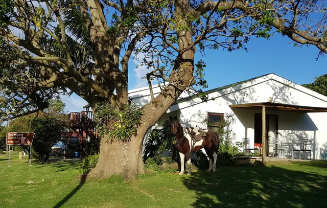 The Kei Mouth Guest Lodge Collection