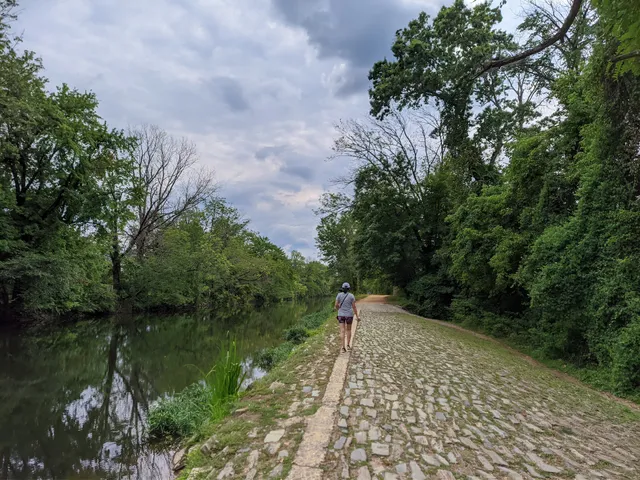 Delaware & Raritan Canal State Park Trail - Kingston