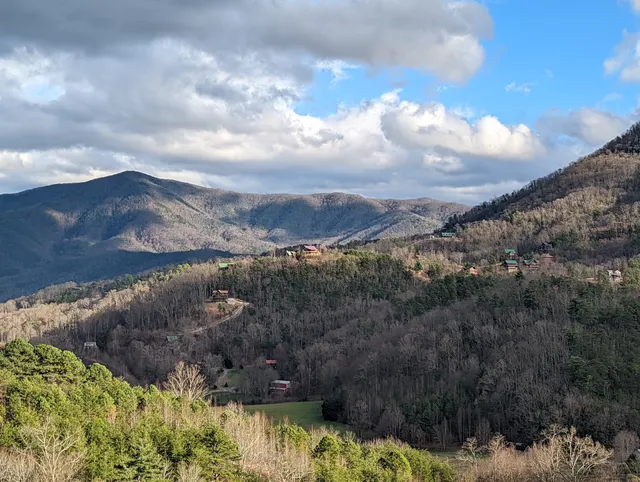 Paradise at Black Bear Hollow