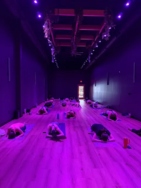 Vibe Yoga Lab