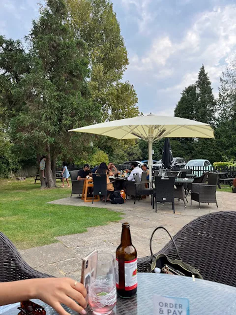 Apple Tree Gerrards Cross