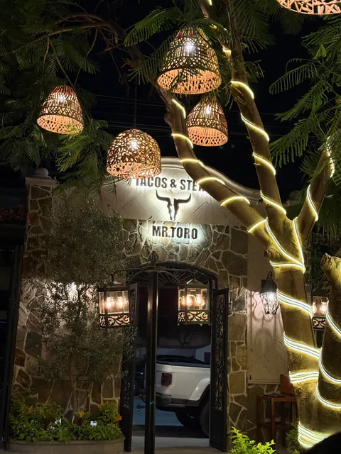 Mr. Toro Steaks & Tacos