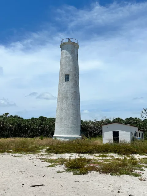 Dolphin Snorkeling Cruise