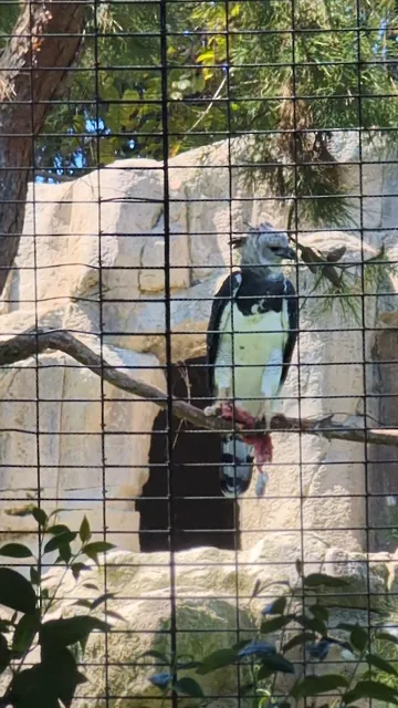 San Diego Zoo Picnic Area