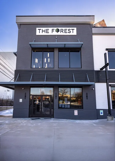 The Forest Baltimore