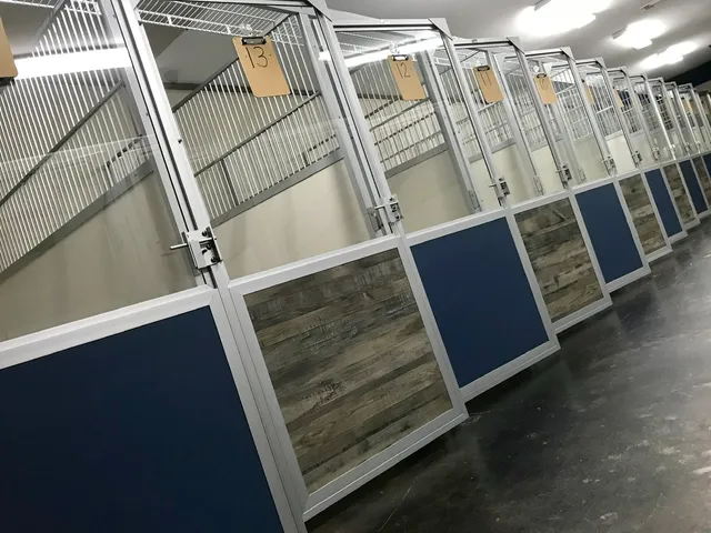 Salty Dog Pet Resort