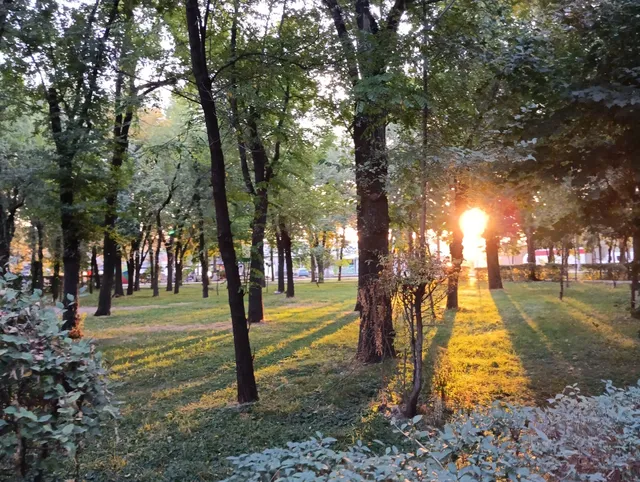 Alley of the journalists