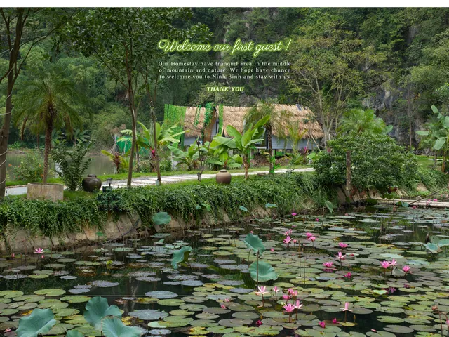 Hoang Minh Mountainside Villa